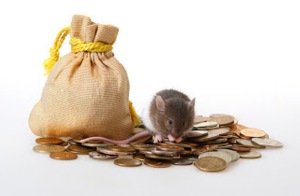 Little mouse sitting on a heap of coins on a white background