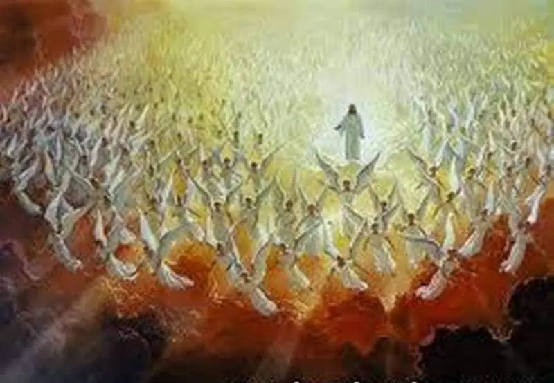 Nerel e1478848858765