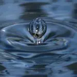 Arak jri katil