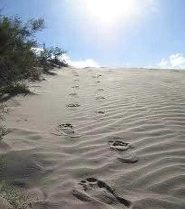 Na misht mez het e e1480009991480