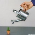 Մի մեծ ու բարի նպատակ (առակ) 13 Jrel