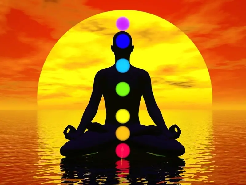 Yoga Hayatan