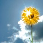 Առակ այն մասին, թե ինչ կարող է անել մարդը, երբ նրա հոգին և սիրտը ջերմանում են… 16 Arak arevi shogh