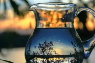 tesak arak