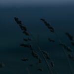 Ի՞նչ է նշանակում շոգմոգություն 13 shogomogutyun